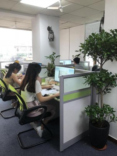 如何做好信息技術咨詢服務？踐行七點核心，真正賦能客戶